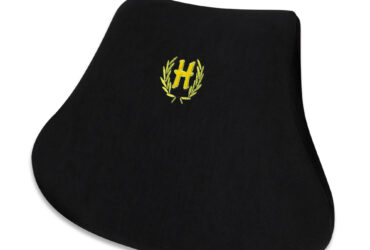 پشت کمری ستاره ای (خانگی) هوشمند